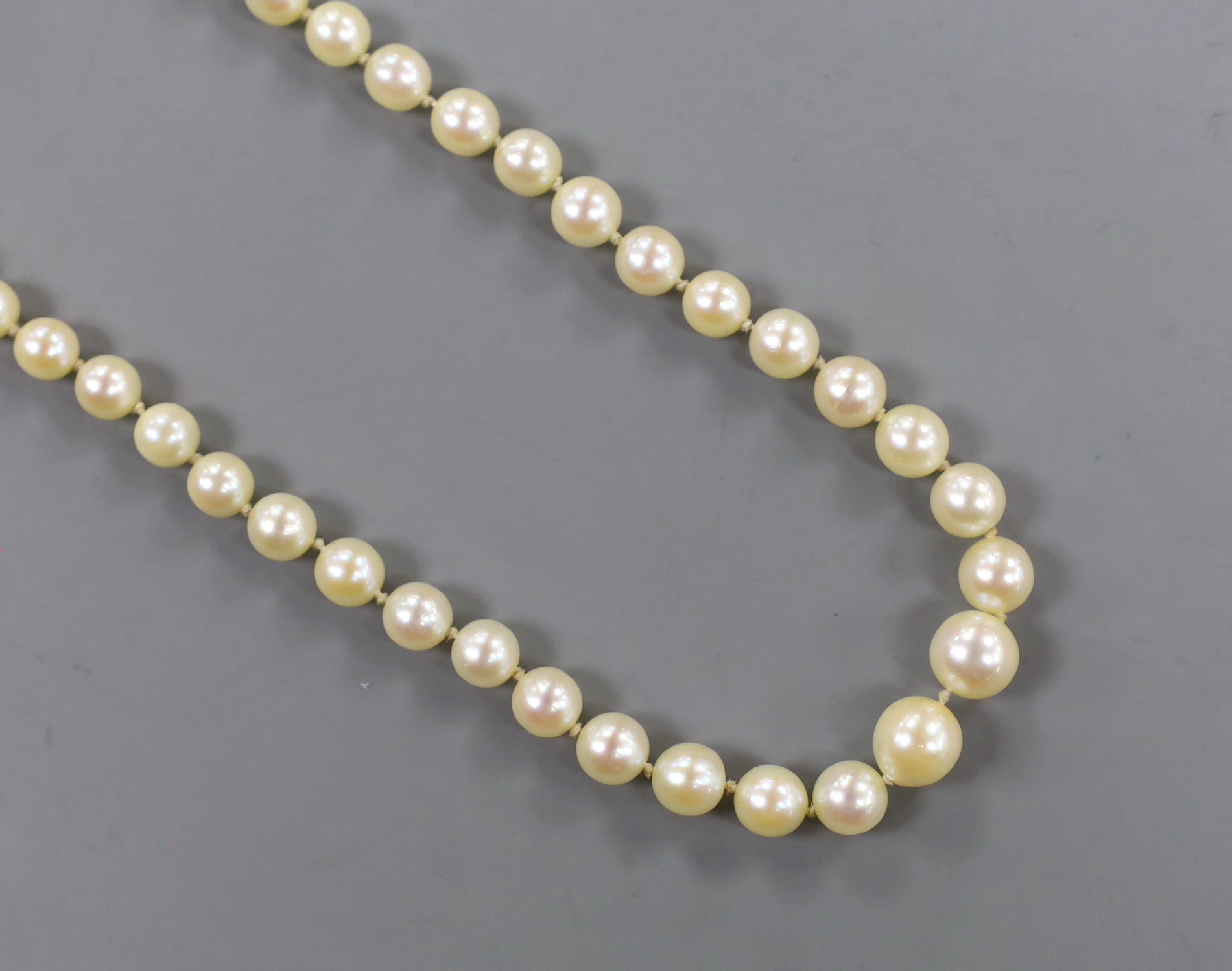 A singe strand graduated cultured pearl necklace, with 9ct clasp, 56cm (a.f.).
